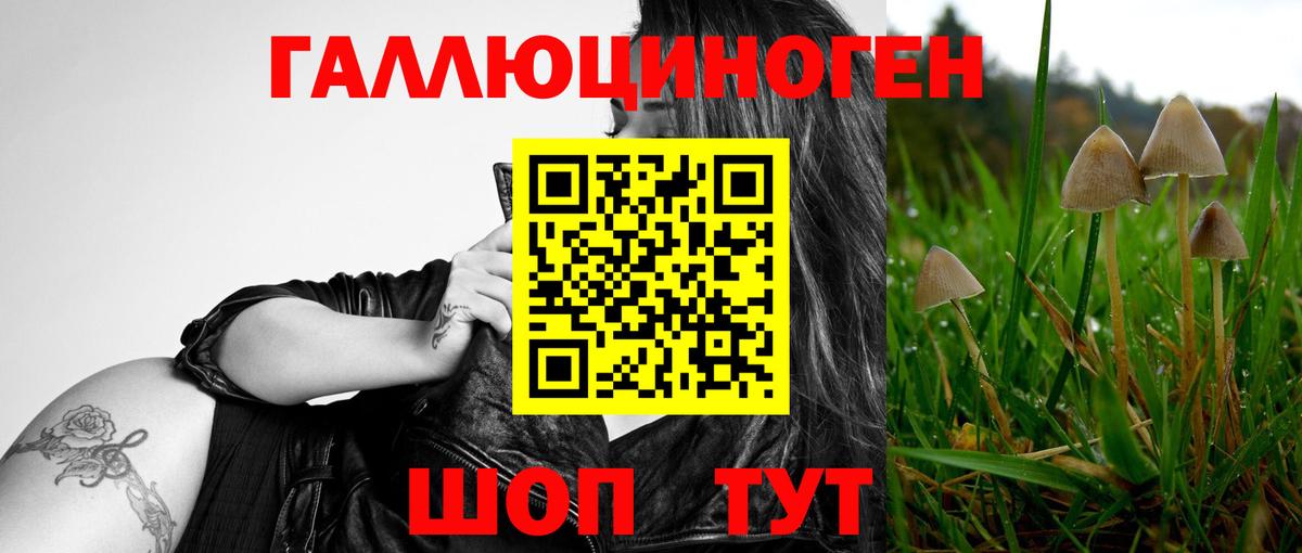 Коломна  Галлюциногенные грибы MAGIC MUSHROOMS  Псилоцибиновые грибы MAGIC MUSHROOMS  Вход с VPN 